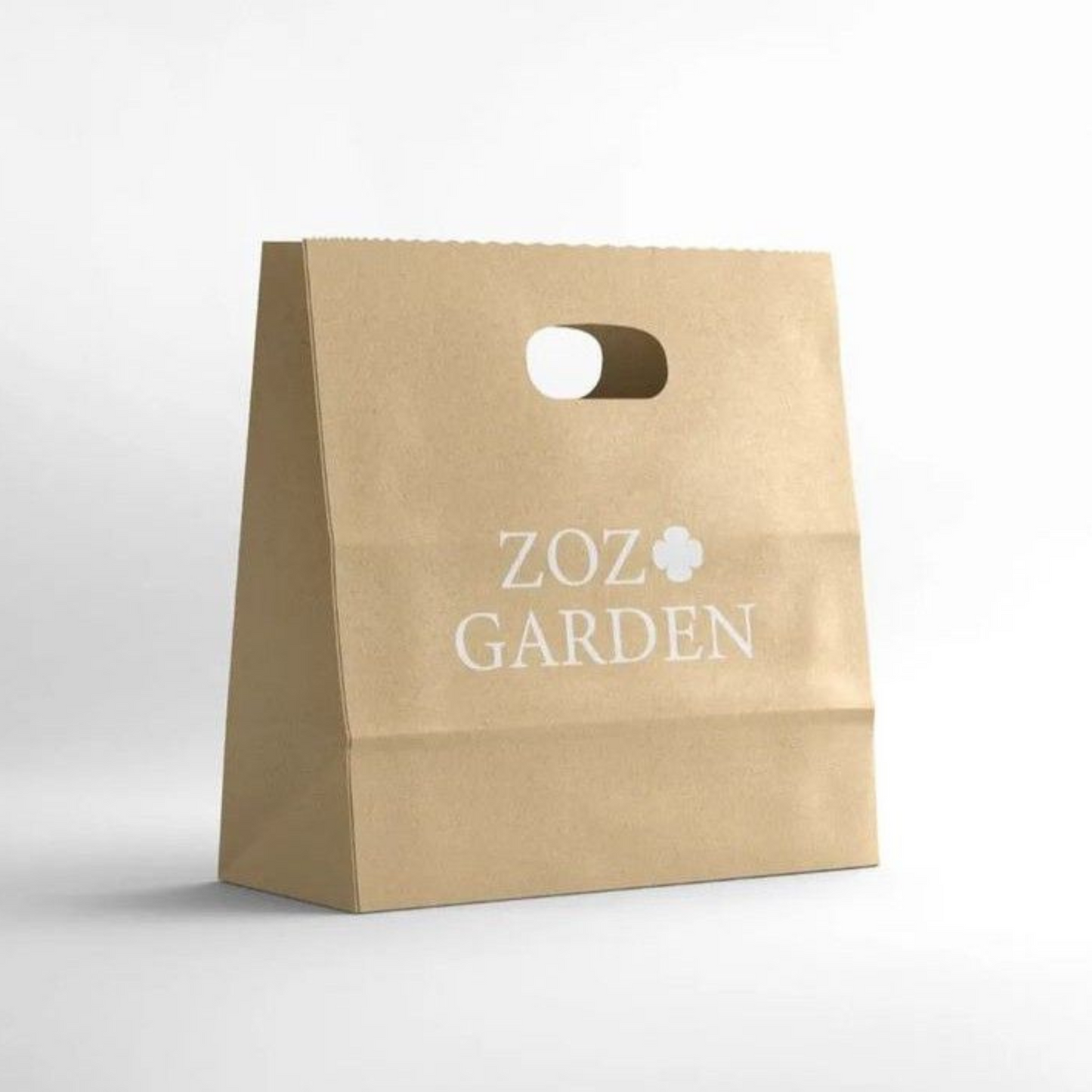 Kraft paper bags at wholesale prices