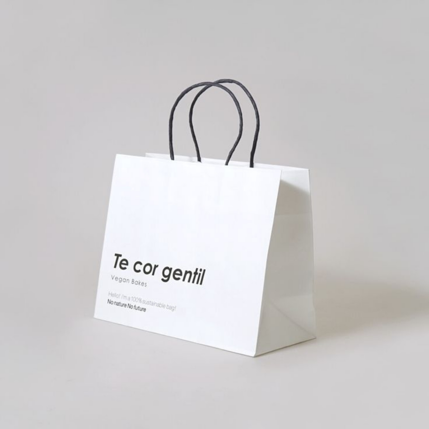 Custom cardboard twisted handle paper bags