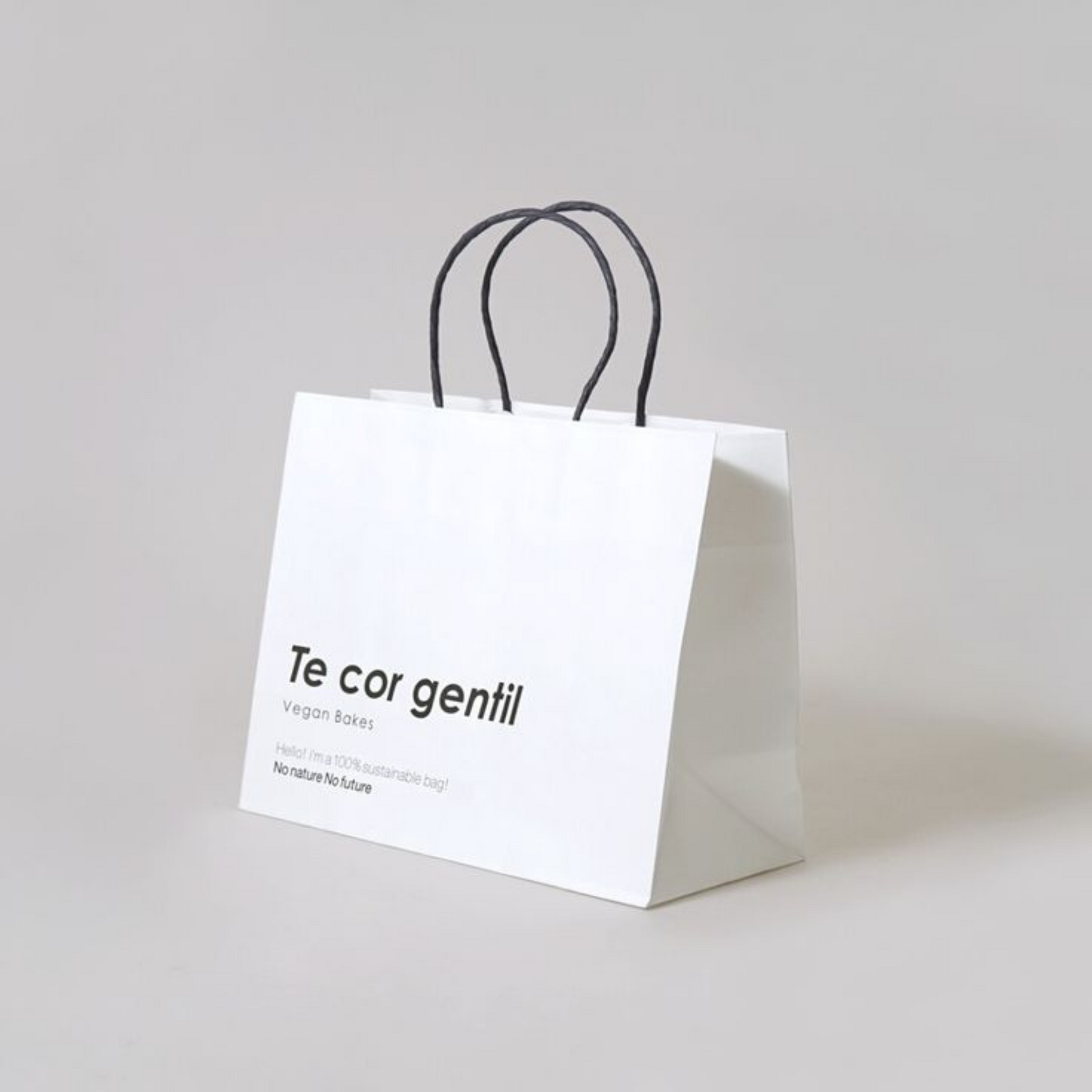 Custom cardboard twisted handle paper bags